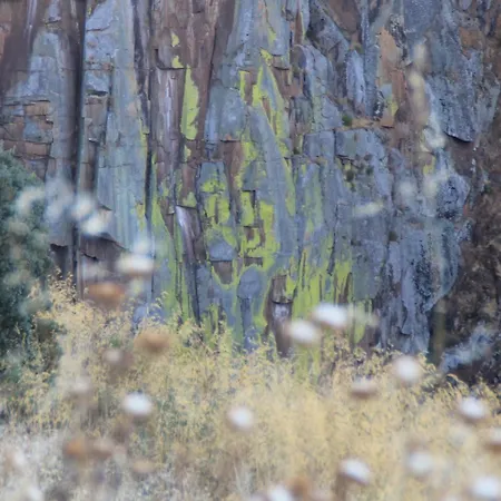 Casa D'abo Anica Κατάλυμα σε φάρμα *